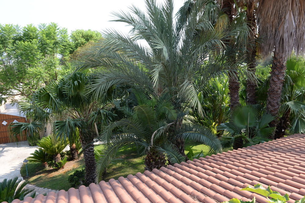 Il Giardino Delle Jacaranda Bed & Breakfast Talsano Ngoại thất bức ảnh